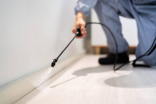 Licensed Termite Control service in Pender County County, NC - Nex Pest Control