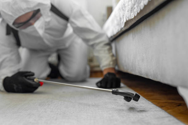 Professional Termite Control technician working in Pender County County, NC